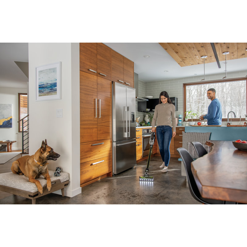 BISSELL Iconpet Turbo Edge Cordless Stick Vacuum & Reviews Wayfair